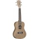 Tanglewood TWT 3