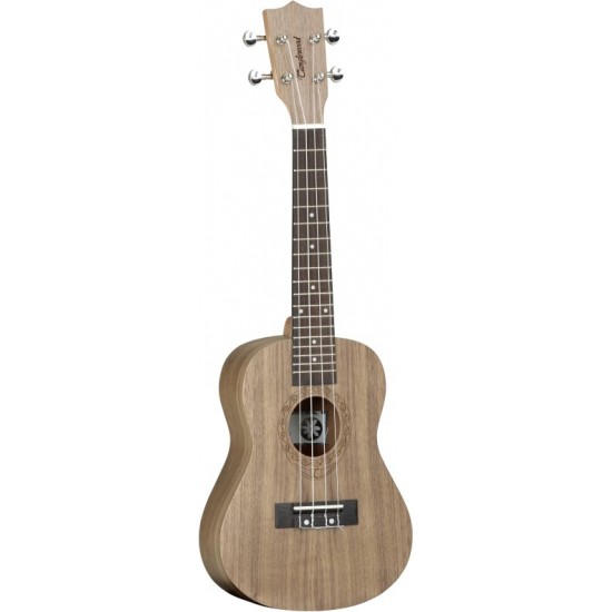 Tanglewood TWT 3