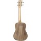 Tanglewood Tiare TWT 3