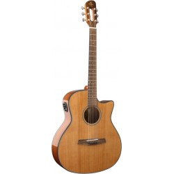 Prodipe Guitars SGA200 CEQ