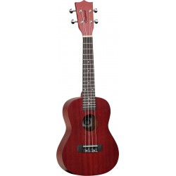 Tanglewood Tiare TWT 3 TR