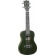 Tanglewood Tiare TWT3FG