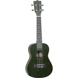 Tanglewood Tiare TWT 3 FG