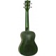 Tanglewood Tiare TWT3FG