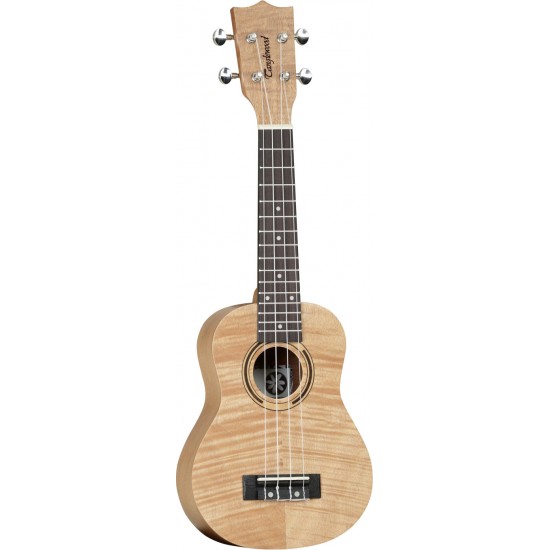 Tanglewood Tiare TWT 5