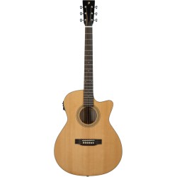 Prodipe Guitars SA300 CEQ