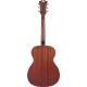 D'Angelico Premier Tammany LS Mahogany Satin