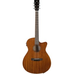 Prodipe Guitars SA250 CEQ