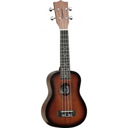 Tanglewood TWT1 SB