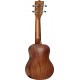 Tanglewood TWT1 SB