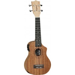 Tanglewood TWT1 CE