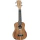 Tanglewood Tiare TWT 7