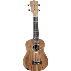 Tanglewood Tiare TWT 7