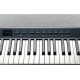 Kurzweil KA-P1 KB