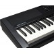 Kurzweil KA-E1 LB